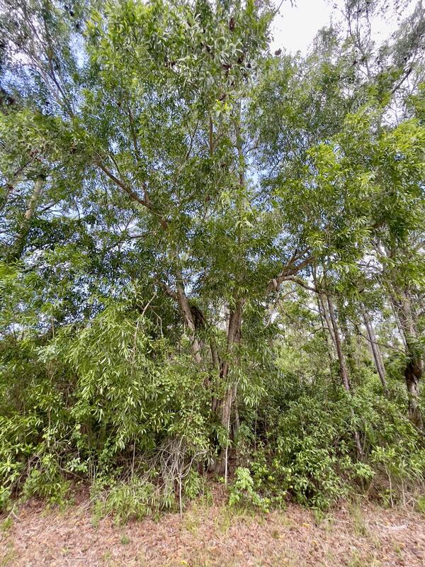 Xxx 113th Trail, Jupiter, FL 33478